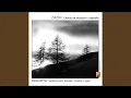 Download Lagu Elment a madarka