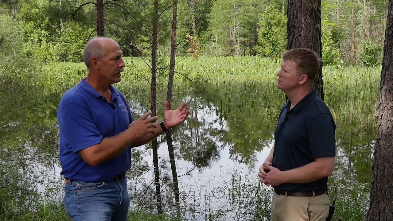 Green Stormwater Infrastructure Approach to Stormwater Management