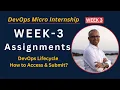 Week 3 - Assignment Submission Guide DevOps Micro Internship DevOps Lifecycle