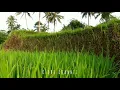 Download Lagu ANGKLUNG BANYUWANGI NONSTOP