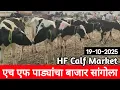 Lagu एच एफ पाड्यांचा बाजार सांगोला / HF Calf Market Sangola / चालू बाजारभाव 19 ऑक्टोबर 2025