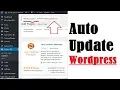 Enable Automatic Wordpress Core Update Auto Wordpress Plugin Update