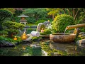 Tranquil Spa Relaxing Music Calming Music and Spa Ambience for Sleep Meditation Heal Mind Body