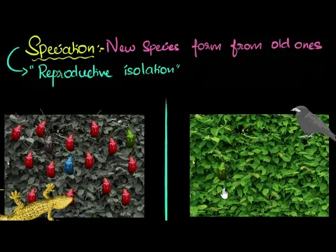 Speciation with example Heredity Evolution Biology Khan Academy - Science video for Grade 10