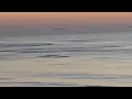 Download Lagu SARDINES arrive in DURBAN by Adam Kamdar #sardinerun2025