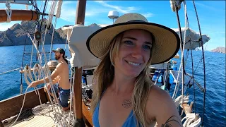 Salt & Tar: Ep.275- To Cross or Not to Cross