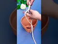 Download Lagu How to hang a flower pot with a rope