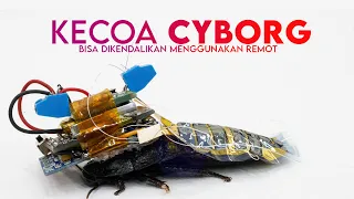 KECOAK CYBONG, ALAT PELACAK KETIKA TERJADI BENCANA