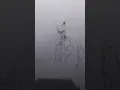 Download Lagu STORY WA JEDAG JEDUG TREND DENJI VIRAL TIKTOK ALIGHT MOTION DJ TEMAN LICIK X DASAR LO ANJAY 18 DETIK