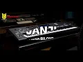 JANJI ( AURA BILQYS ) VERSI REMIX - SUPIYAN YAN COVER