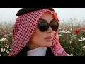 Download Lagu Dubai BellyDance Girl Mashup Remix | Arabic Mashup Belly Dance 2025 | 2025 Dubai Remix Bellydance