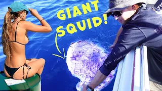 Orcas vs Giant Squid & Whale 😲(CRAZY RARE ENCOUNTER!) Mahi Catch & Cook