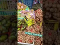 Download Lagu Oleh-Oleh Dieng | Serbu beli oleh-oleh khas Dieng Carica #wonosobo #jalanjalan