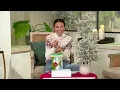 Ornament Anchor Set of 48 Holiday Ornament Hangers on QVC