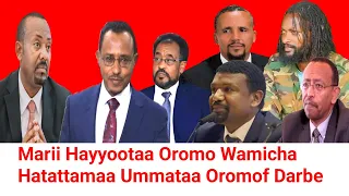 ODUU Ammee Marii Hayyootaa Oromo Kallattiin 
