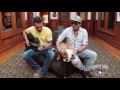 Love and Theft - Angel Eyes Acoustic