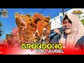 Download Lagu Brondong Voc. Aurel - Singa Singa Depok Andi Putra 2 Live Bongas Pentil Indramayu