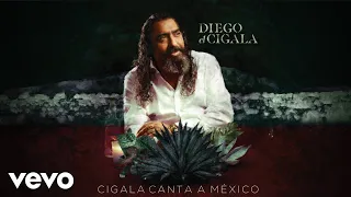 Diego El Cigala Vámonos Audio 