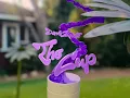 Dave Blunts - The Cup (Official Music Video)