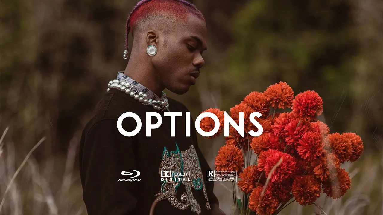 [FREE] Afrobeat Instrumental 2023 Bnxn Ft Omah lay x rema Type Beat "OPTIONS"