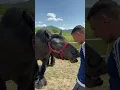 Download Lagu Niște cai deosebiți ♥️ Hovrea Alin #travel_captures