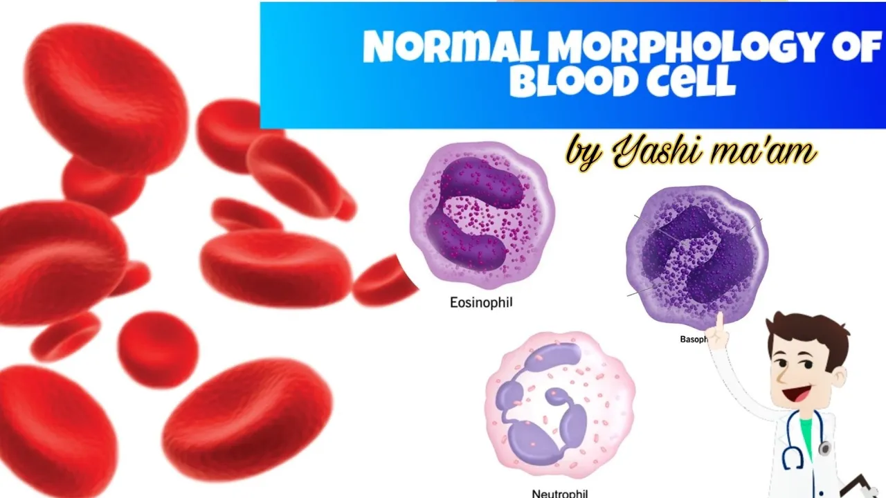 Normal Morphology of Blood Cell [ part 01] | Morphology of RBCs in Hindi