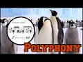 Download Lagu Emperor Penguin: Vocalizations in Sheet Music