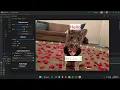 Modern Photo Editor in Java