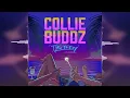 Download Lagu Collie Buddz - Take It Easy [Ineffable Music] Release 2023