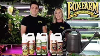 How to use FoxFarm s Big Bloom Grow Big and Tiger Bloom Liquid Fertilizers