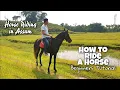 Download Lagu How To Ride A Horse | Beginners Tutorial | Horse Riding In Assam | First Ride Impression