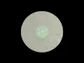 Computer Data - Ego [PALMS032]