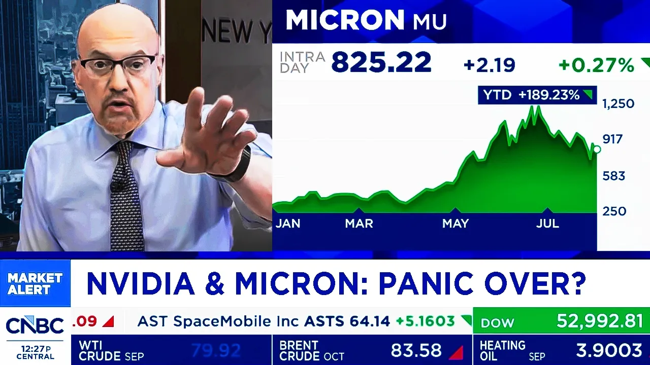 CNBC & Schwab On NVIDIA Stock, Micron Stock, SK Hynix Stock - NVDA Update