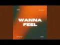 Download Lagu Wanna Feel
