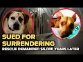 Dog rescue sued former adopters for 5 000 after pet surrender