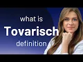 Tovarisch definition of TOVARISCH