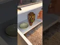 Vídeo do produto