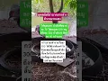Download Lagu #remix #dj #edm #music #sound #automobile #bamboo1 #imagecapture #food #bts