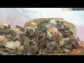 Where s Marty WJZ s Cheesesteak Week starts at Mr G s in Baltimore County