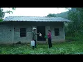 Download Lagu Kind Man Still Wholeheartedly Helps the Single Mother - Will CEO James Receive Tu Van's Letter?