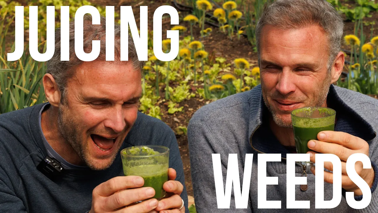 Foraging WEEDS to make Super Green Juice   April 2024