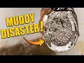 Muddy Mess Turned Masterpiece — Farrier Transformation!