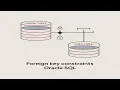 Foreign Key Constraint in Oracle SQL