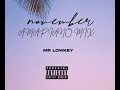 M Lowkey -November Amapiano Mix 2024[Biri Marung,Iza Mawala,Babalwa M,Murumba pitch,Ng'limele,Tyler