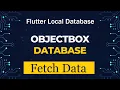 ObjectBox Database Fetch Data Flutter Local Database