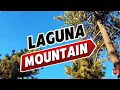 ULTIMATE Laguna Mountain Camping Hiking Guide Must-Visit Trails Scenic Views