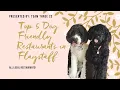 Top 5 Dog Friendly Restaurants in Flagstaff Arizona