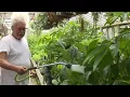 Mid-Michigan drought brings gardening challenges