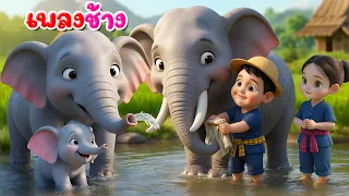 เพลง ช้าง น้องเคยเห็นช้างหรือเปล่า l เวอร์ชั่นพี่นุ่น คิดส์มีซอง 2569 | KidsMeSong
