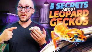 5 Things They NEVER TELL YOU About Getting A Leopard Gecko MUST WATCH THIS FIRST